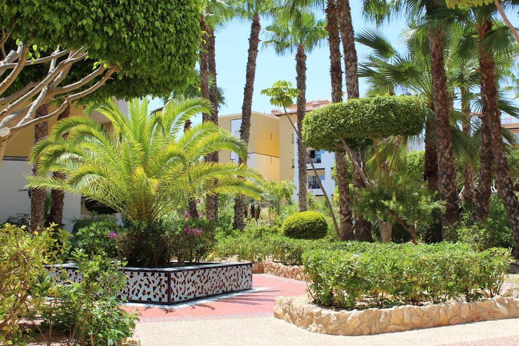 Aldea Del Mar Daire Torrevieja Dış mekan fotoğraf